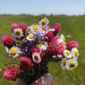 Meet your Posher, Kendall